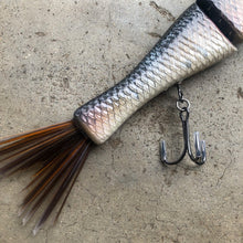 Load image into Gallery viewer, Squawfish