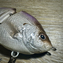 Load image into Gallery viewer, Kokanee