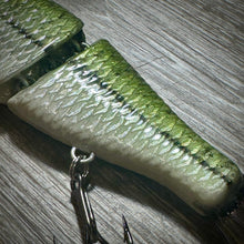 Load image into Gallery viewer, Baby Bass