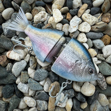 Load image into Gallery viewer, Threadfin