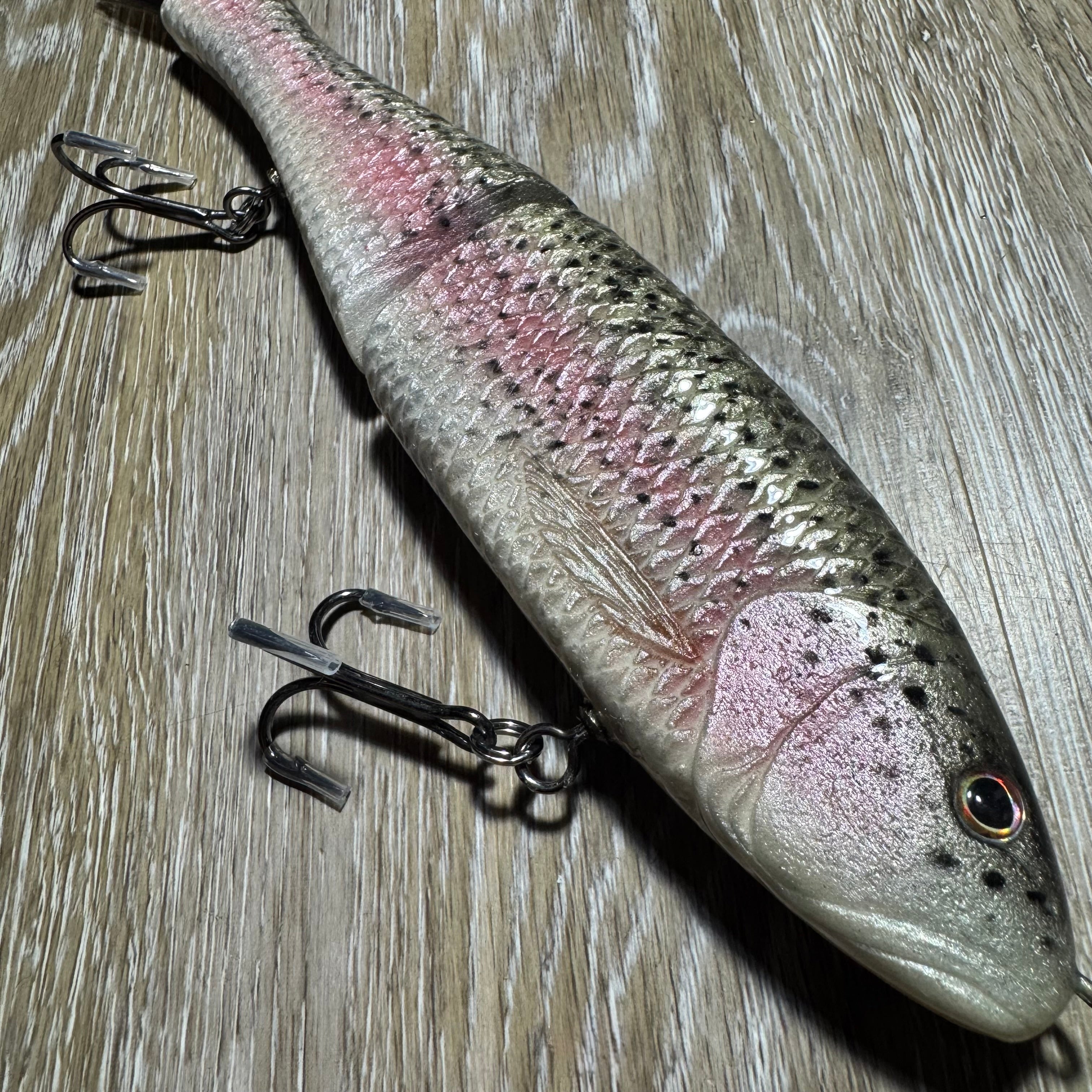 Rainbow Trout