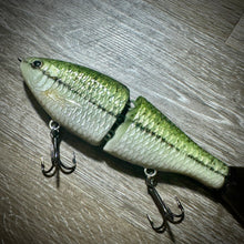 Load image into Gallery viewer, Baby Bass