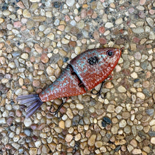 Load image into Gallery viewer, Pumpkinseed