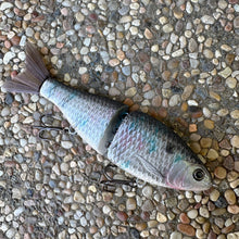 Load image into Gallery viewer, Electric Shad