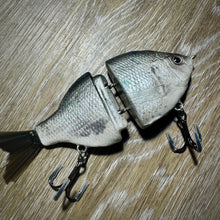 Load image into Gallery viewer, Flashy Gill
