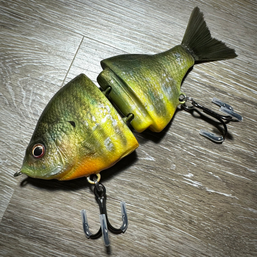 Bluegill