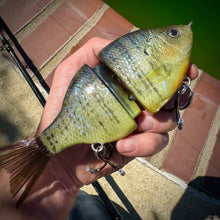 Load image into Gallery viewer, Bluegill
