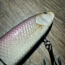 Load image into Gallery viewer, Sacramento Splittail
