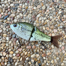 Load image into Gallery viewer, Baby Bass
