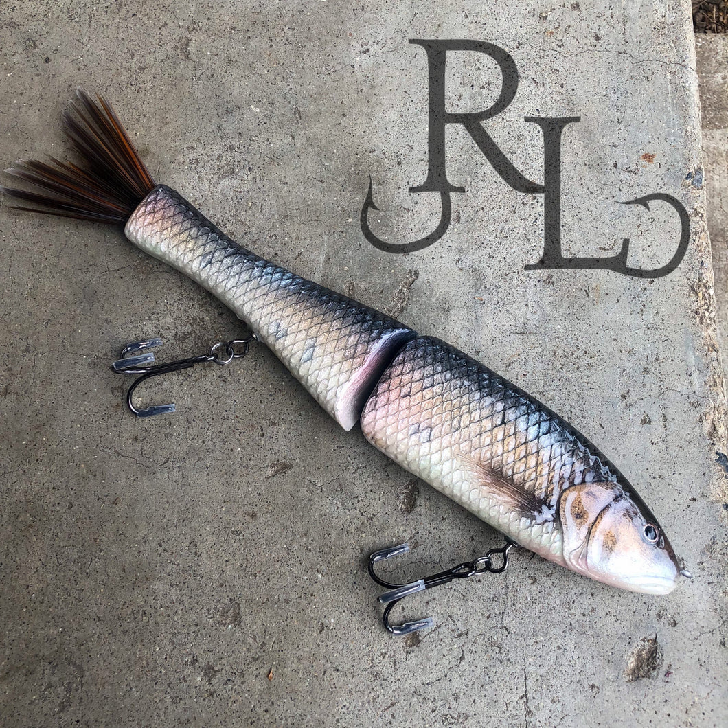 Squawfish