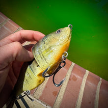 Load image into Gallery viewer, Bluegill
