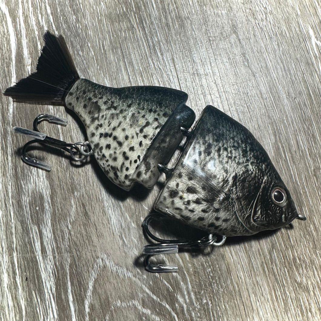 Black Crappie