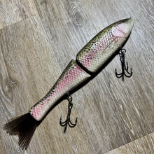 Load image into Gallery viewer, Rainbow Trout
