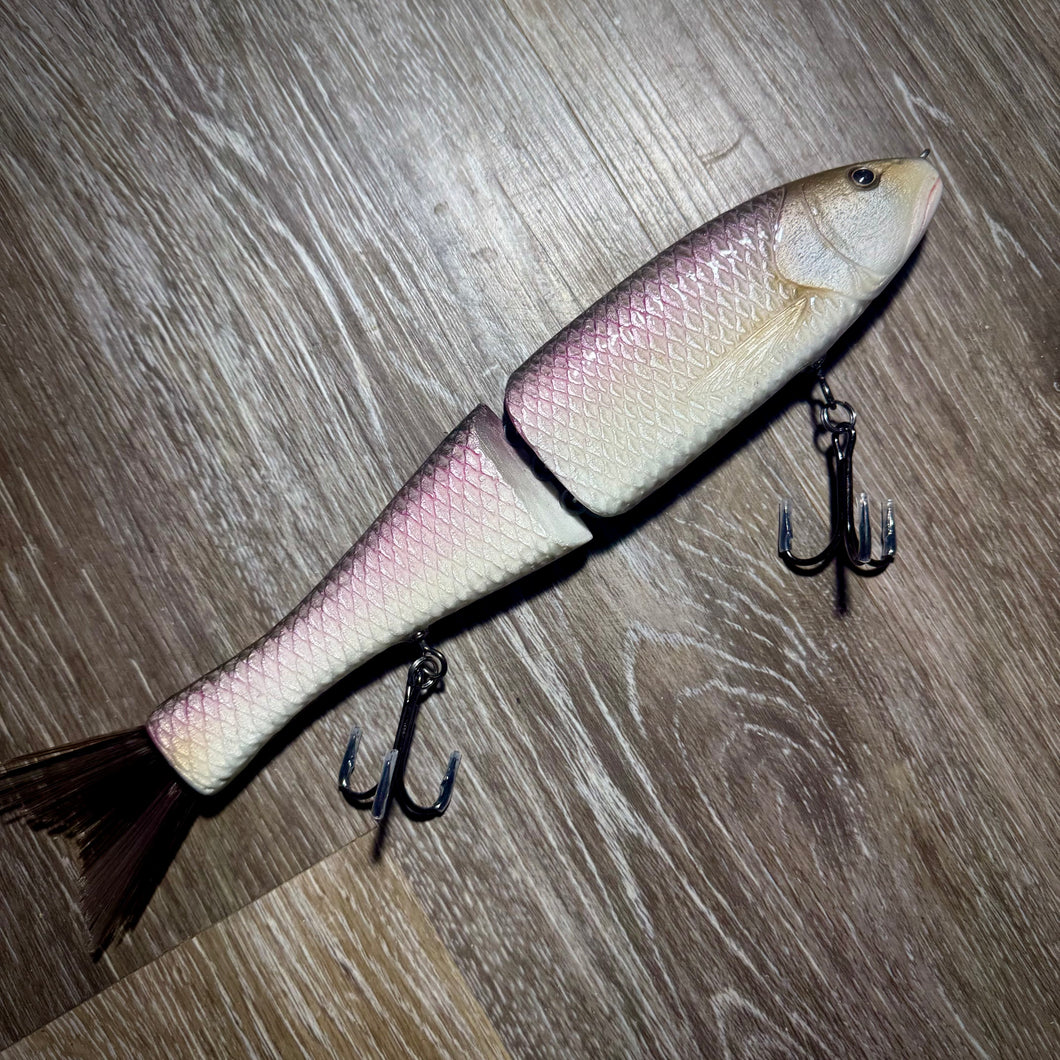 Sacramento Splittail
