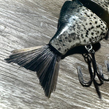 Load image into Gallery viewer, Black Crappie
