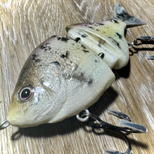 Load image into Gallery viewer, White Crappie
