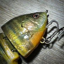 Load image into Gallery viewer, Bluegill
