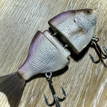 Load image into Gallery viewer, Kokanee
