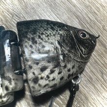 Load image into Gallery viewer, Black Crappie

