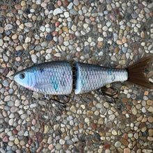 Load image into Gallery viewer, Electric Shad

